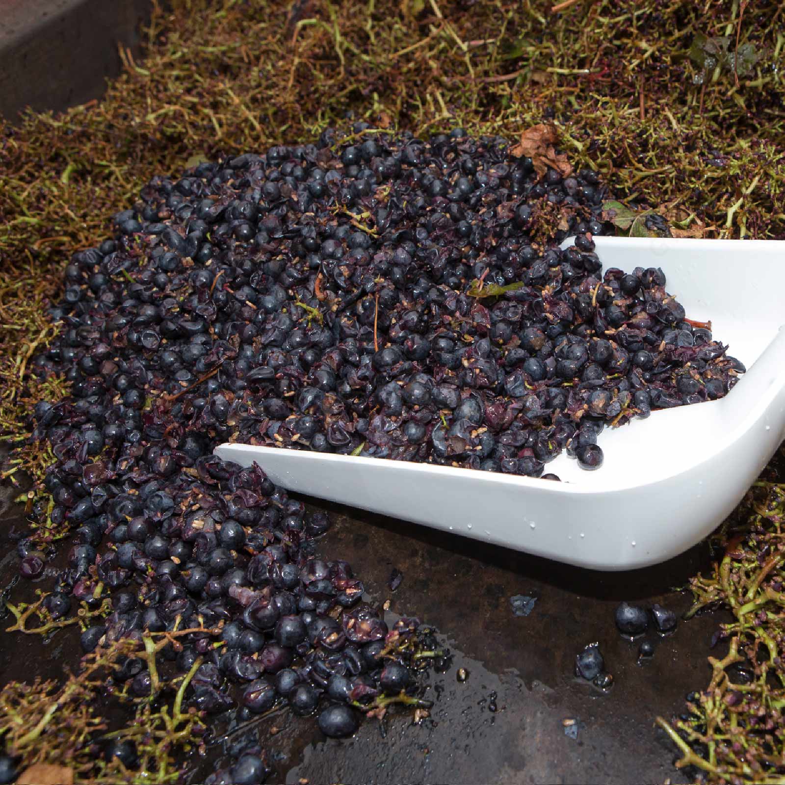 Pala Ergonomica VIKAN - 131 cm, Bianco