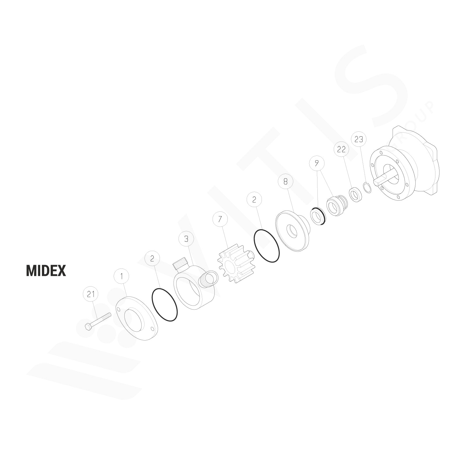 Girante Flessibile per Liverani MIDEX 1"1/4 in Neoprene (CR) - Ricambio Originale Cod. 3173007