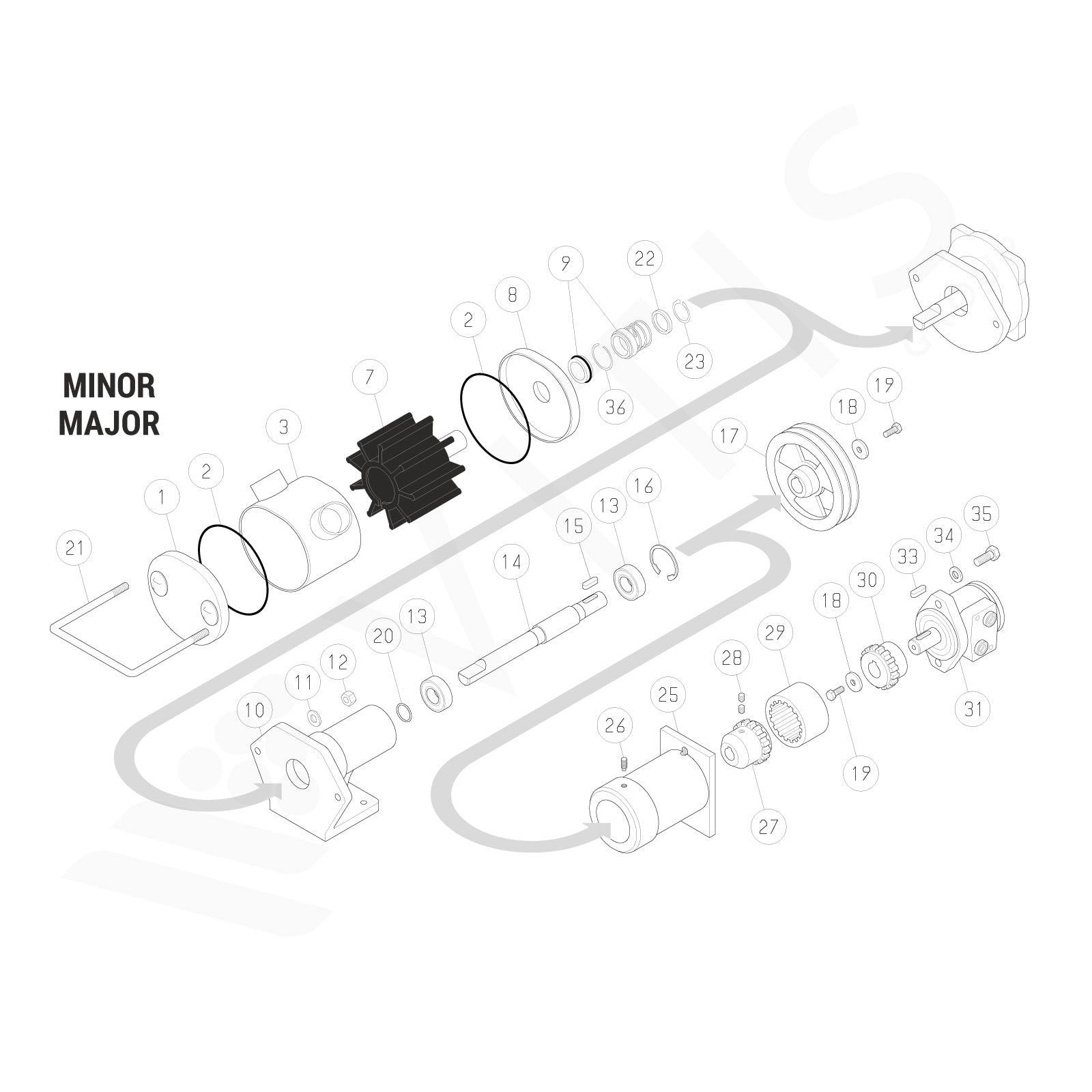 Girante Flessibile per Liverani MINOR 40 in Neoprene (CR) - Ricambio Originale Cod. 3174007