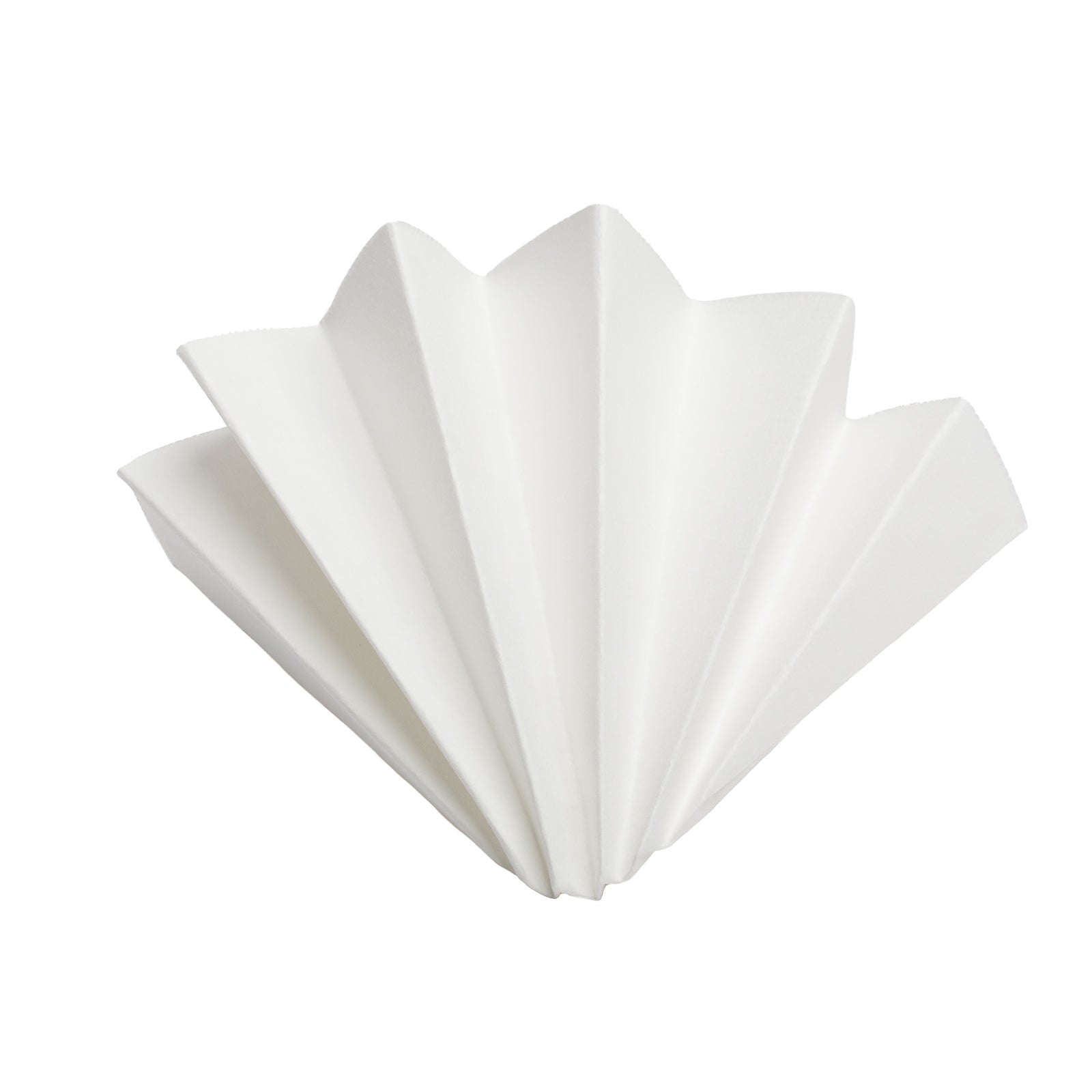 Filtri di Carta Piegati da Laboratorio 85g (Ø 25 cm) (10pz)